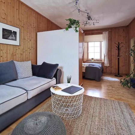 Ferienwohnung Himmelberg 80M2 In Der Altstadt Und Toll Fuer Familien 클라겐푸르트 외부 사진